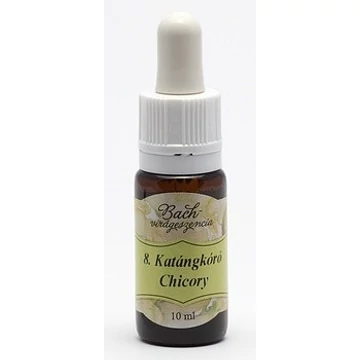 Bach-Chichory (8. Katángkóró) virágeszencia10ml ( barna, pipettás kupakkal ellátott gyógyszertári üvegben)