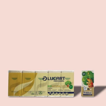 Cleaneco Lucart Econatural Papírzsebkendő 10x9db
