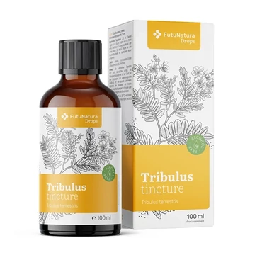 Futunatura - Királydinnye – tinktúra Tartalom: 100 ml