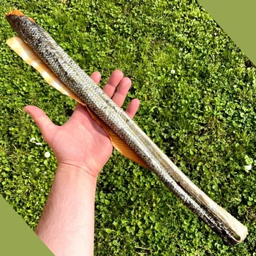 Barf Love Húsos vadlazac bőr kb. 50-60 cm