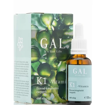 GAL K1-VITAMIN 1000MCG K-VITAMIN X 480 ADAG (30ml)