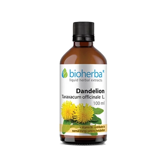 Futunatura - Gyermekláncfű gyökér - tinktúra Tartalom: 100 ml