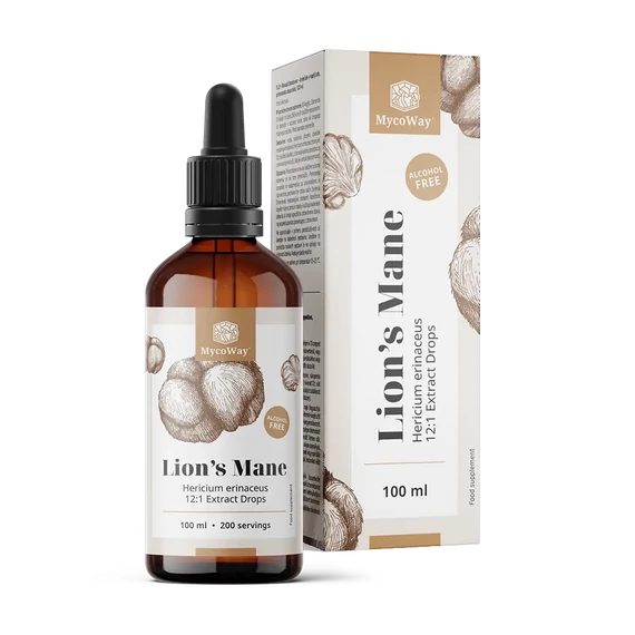 Süngomba – Lion's mane kivonat cseppekben Tartalom: 100 ml